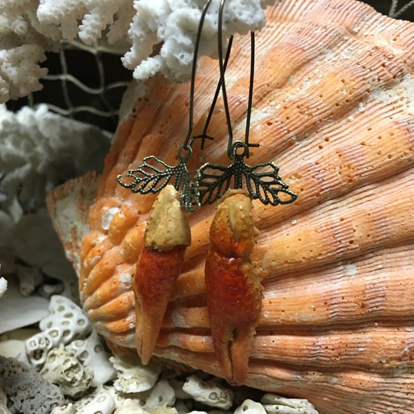 Wild Cajun Style Craw Fish Claw  Earrings - Picture 5 of 6